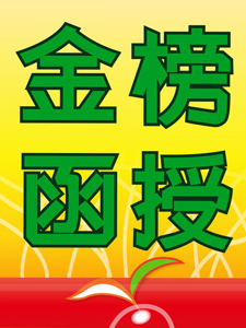 113年 金榜函授 刑法A 33堂課 陳介中老師 含PDF講義 函授DVD(11DVD)(司律適用)